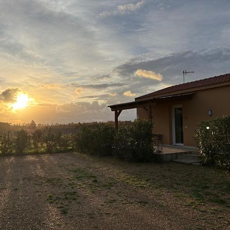 Maris Suite - Appartamento Con Vasca Idromassaggio Alghero Kültér fotó