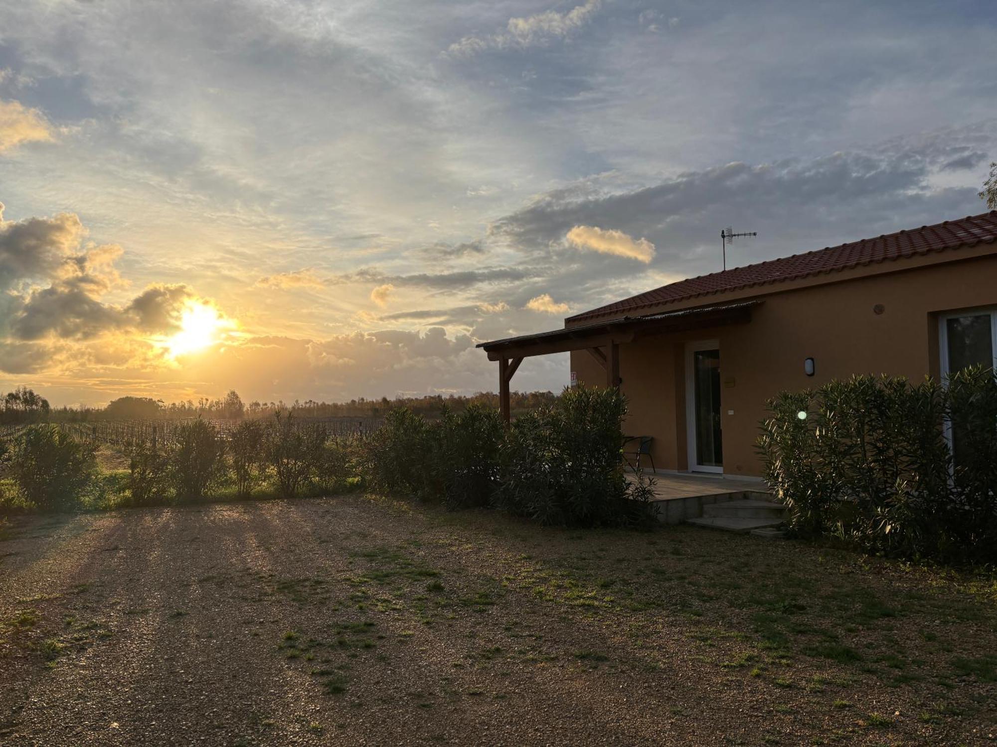 Maris Suite - Appartamento Con Vasca Idromassaggio Alghero Kültér fotó